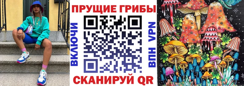 Псилоцибиновые грибы прущие грибы  купить   Азнакаево 